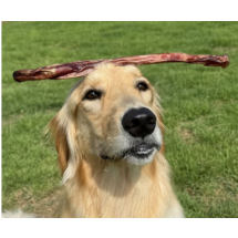 펫스낵스 수제간식 오래먹는 대형견 간식 우스틱