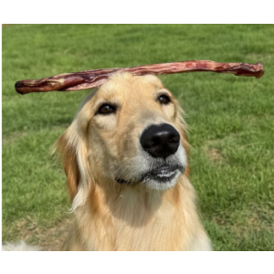 펫스낵스 수제간식 오래먹는 대형견 간식 우스틱