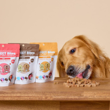 퍼펙트바이츠 강아지 애견 간식 노즈워크 트릿 영양간식 100g