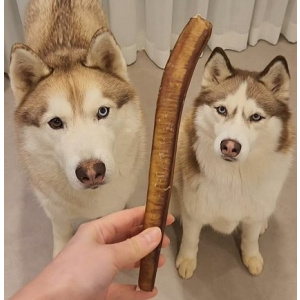 강아지 핏불스틱 불리스틱 수제간식 오래먹는간식 소우신 우스틱 25CM XL